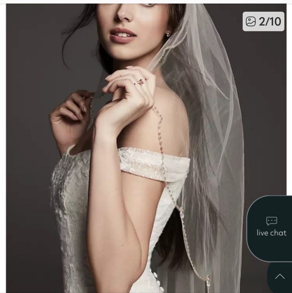 David's Bridal Ivory Veil with Beaded Edge